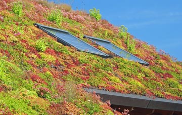 Ridlington living roof systems